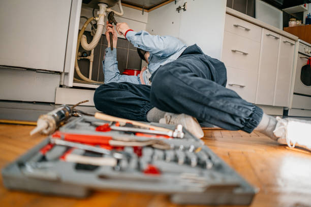 Best Plumbing Repair Near Me  in Pho, IL