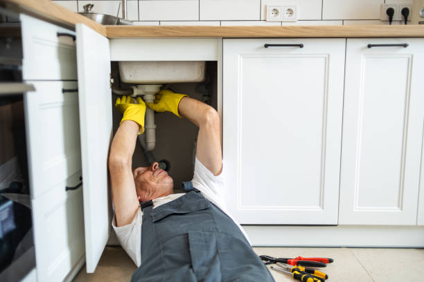 Best Affordable Plumber Near Me  in Pho, IL