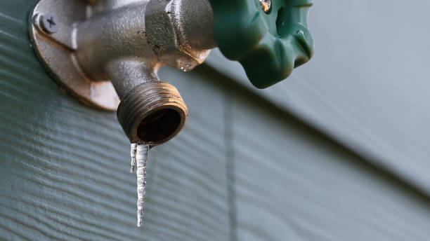 Best Leak Detection Services  in Pho, IL