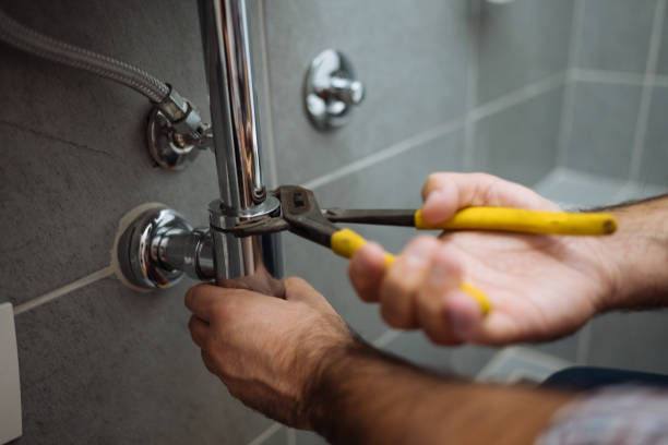 Best Shower Repair Services  in Pho, IL