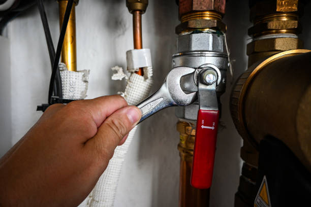 Best 24-Hour Plumber Near Me  in Pho, IL